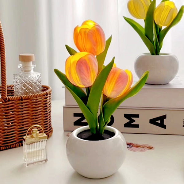 Tulip Night Light