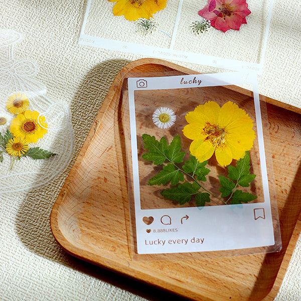 DIY Dried Flower Bookmark Set - Transparent Design - Nature-inspired