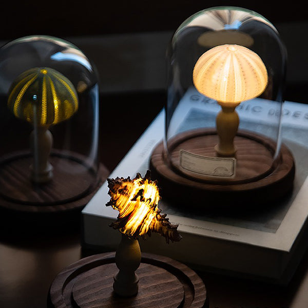 DIY Sea-themed Night Light - Handmade Craft Kit - Natural Materials - Perfect Gift Idea - Sea Urchin - Seashell