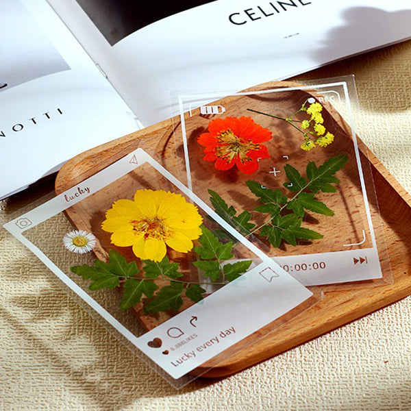 DIY Dried Flower Bookmark Set - Transparent Design - Nature-inspired