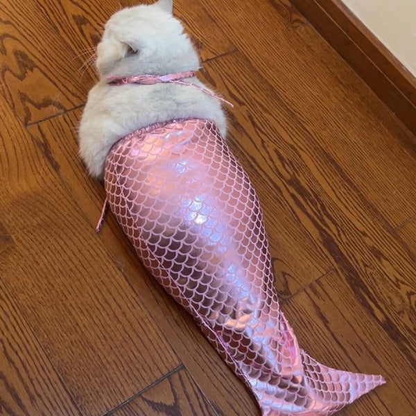 Pet Mermaid Tail Costume - Pink - Blue - Perfect for Cats and Dogs - Fun for Photoshoots
