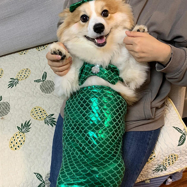 Pet Mermaid Tail Costume - Pink - Blue - Perfect for Cats and Dogs - Fun for Photoshoots