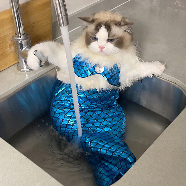 Pet Mermaid Tail Costume - Pink - Blue - Perfect for Cats and Dogs - Fun for Photoshoots
