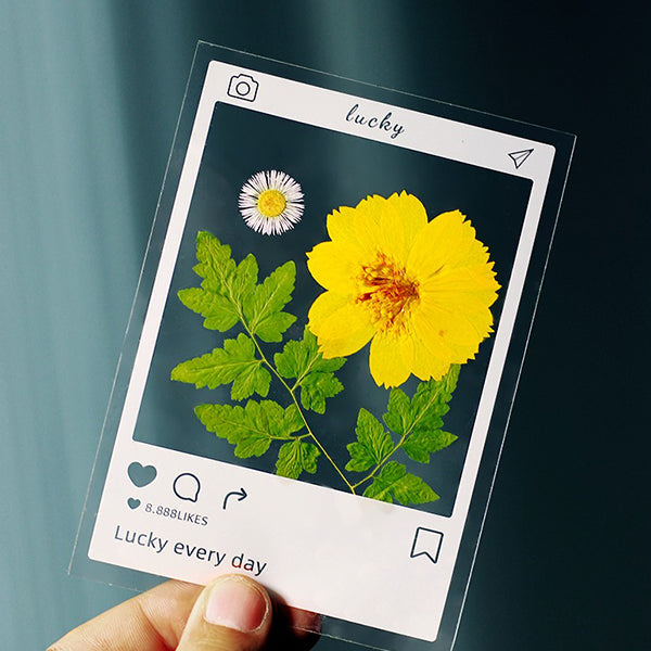 DIY Dried Flower Bookmark Set - Transparent Design - Nature-inspired