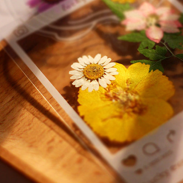 DIY Dried Flower Bookmark Set - Transparent Design - Nature-inspired